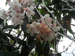 Ảnh bìa bài viết 493522