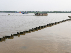 Ảnh bìa bài viết 493611