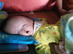 Ảnh bìa bài viết 493382