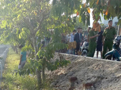 Ảnh bìa bài viết 508864