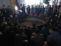 Ảnh bìa bài viết 508790