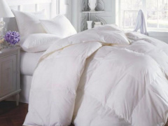 Ảnh bìa bài viết 508837