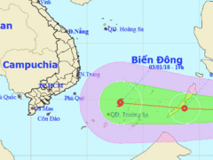 Ảnh bìa bài viết 508909