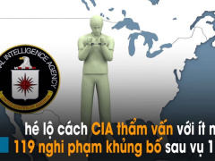 Ảnh bìa bài viết 509106