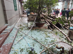 Ảnh bìa bài viết 509330