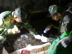 Ảnh bìa bài viết 509459