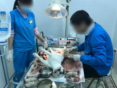 Ảnh bìa bài viết 509534