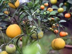 Ảnh bìa bài viết 509747