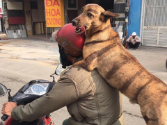 Ảnh bìa bài viết 510043