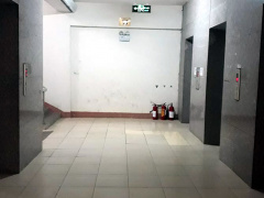 Ảnh bìa bài viết 509983