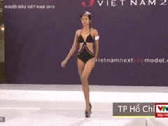 Ảnh bìa bài viết 510467