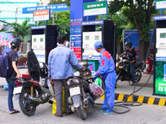 Ảnh bìa bài viết 510588