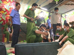 Ảnh bìa bài viết 510795