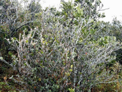Ảnh bìa bài viết 510626