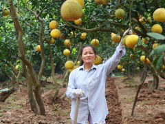 Ảnh bìa bài viết 510598