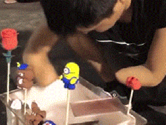 Ảnh bìa bài viết 511295