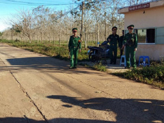 Ảnh bìa bài viết 511235