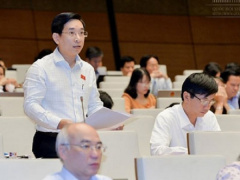 Ảnh bìa bài viết 511124