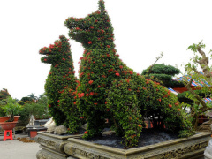 Ảnh bìa bài viết 511307