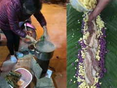Ảnh bìa bài viết 511293