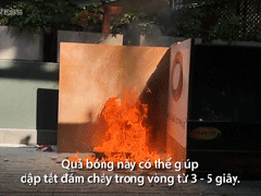 Ảnh bìa bài viết 511175