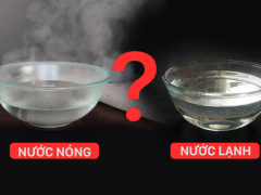 Ảnh bìa bài viết 511441