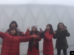 Ảnh bìa bài viết 511531