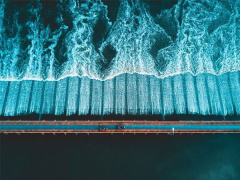 Ảnh bìa bài viết 511682