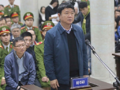 Ảnh bìa bài viết 511782