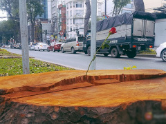 Ảnh bìa bài viết 511860