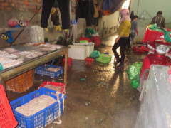 Ảnh bìa bài viết 511842