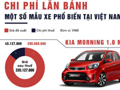 Ảnh bìa bài viết 512006