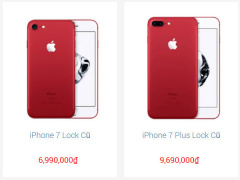 Ảnh bìa bài viết 512486