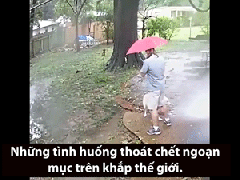 Ảnh bìa bài viết 512548