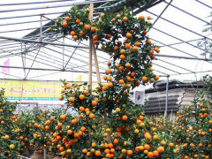Ảnh bìa bài viết 512514