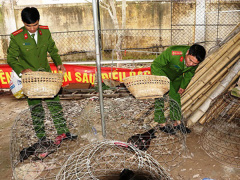 Ảnh bìa bài viết 513430