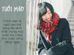 Ảnh bìa bài viết 513745