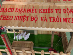 Ảnh bìa bài viết 513725