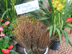 Ảnh bìa bài viết 513911
