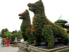 Ảnh bìa bài viết 513930