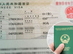 Ảnh bìa bài viết 514294