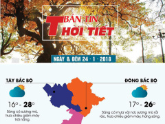 Ảnh bìa bài viết 514138
