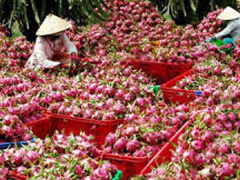 Ảnh bìa bài viết 514448