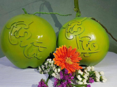 Ảnh bìa bài viết 514475