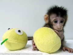 Ảnh bìa bài viết 514409