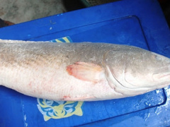 Ảnh bìa bài viết 515197