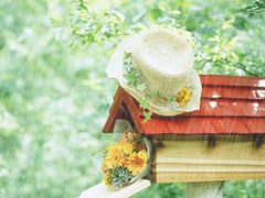 Ảnh bìa bài viết 515147