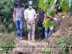 Ảnh bìa bài viết 515282