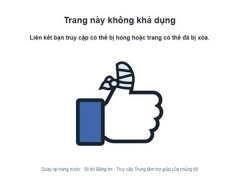 Ảnh bìa bài viết 515183