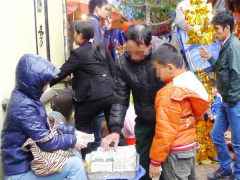 Ảnh bìa bài viết 515527